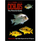 Cichlids The Pictorial Guide Vol2